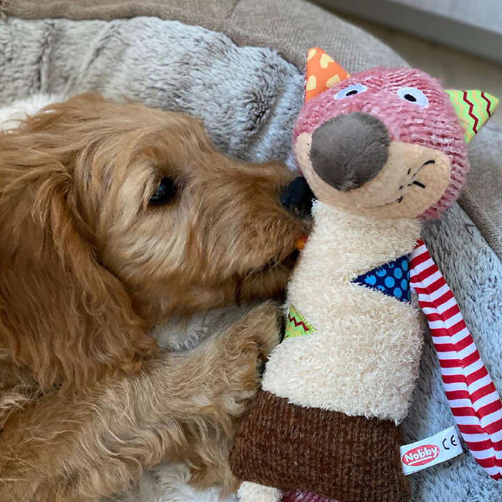 Nobby Plüschtier FUCHS für Hunde